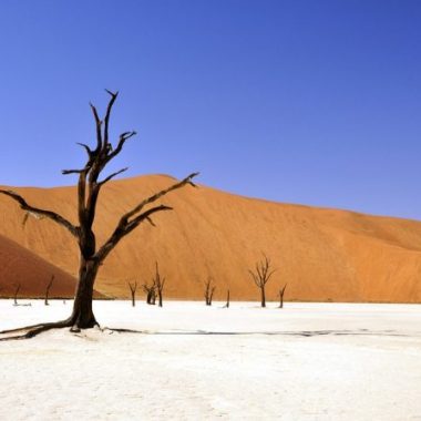 Como explicar o que é a morte para as crianças?